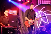 03 11.11.2015 THE FERAL TREES, fot. Krzysztof Wójcik