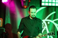 06 11.11.2015 THE FERAL TREES, fot. Krzysztof Wójcik