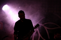 15 11.11.2015 THE FERAL TREES, fot. Krzysztof Wójcik